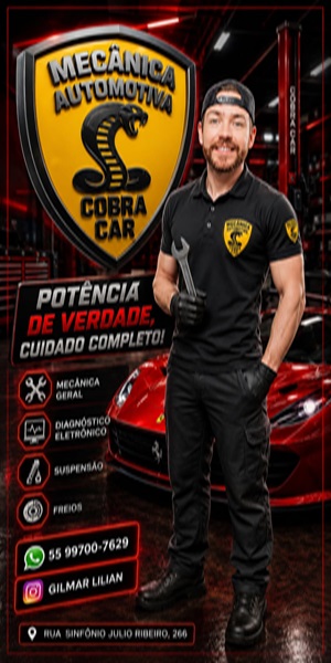 Mecânica Automotiva Cobra Car