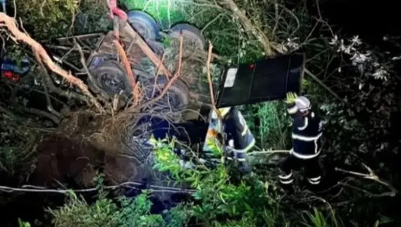 Bombeiros resgatam cavalo preso em reboque após capotamento na ERS-122 na serra gaúcha