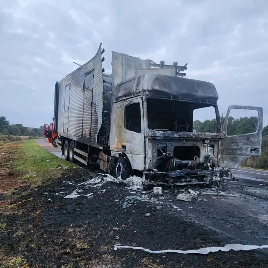 Caminhão que transportava medicamentos pega fogo na BR 282 - RD Foco