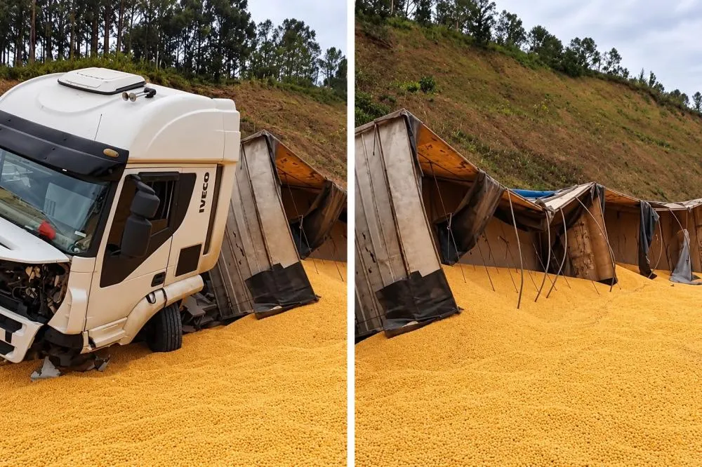 Carreta carregada de milho tomba entre Passos Maia e Abelardo Luz e deixa carga espalhada na rodovia - RD Foco